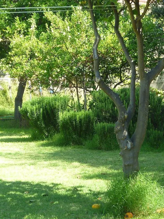 Casa Vacanza Sa Ferula 플루미니 디 콰르투